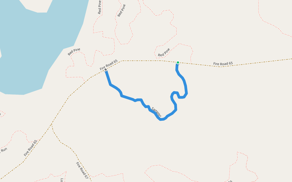 Sampler walking route map in Auburn