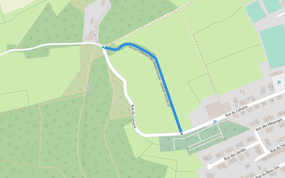 Ancien chemin des Botterresses - sentier vicinal 22 walking route map in Herve