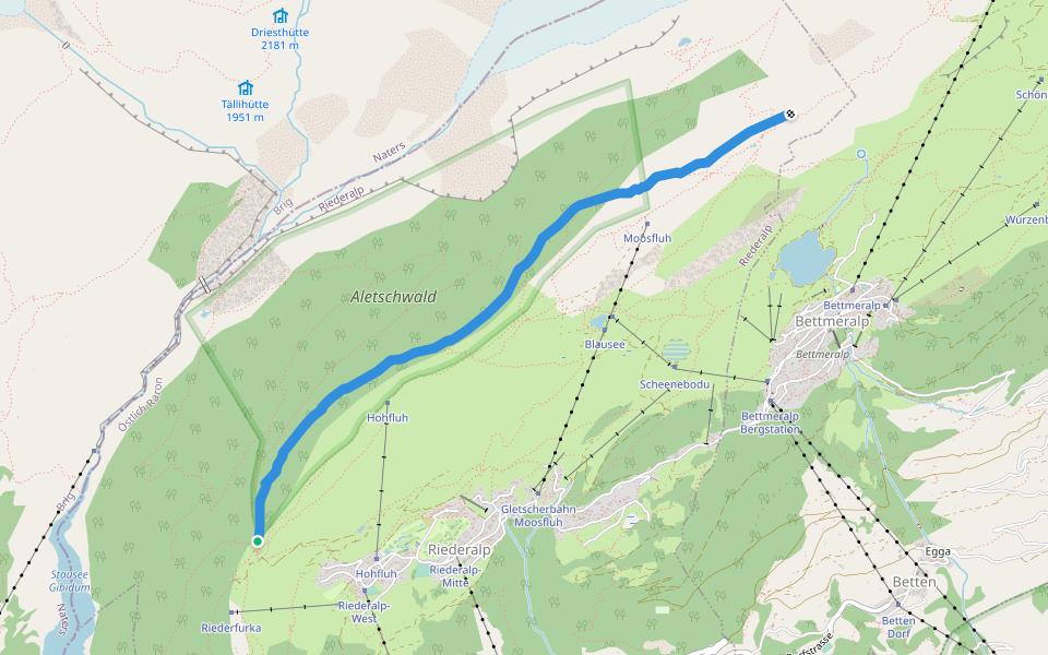 Oberer Aletschweg walking route map in Riederalp