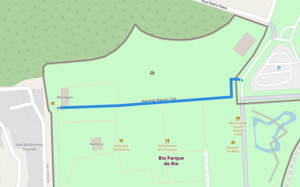 Alameda Macaco Tião