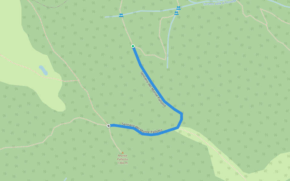 Sentiero del Monte Pallotto