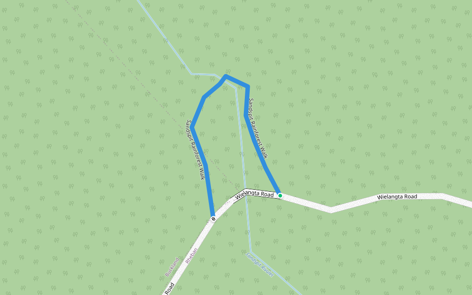 Sandspit Rainforest Walk walking route map in Buckland