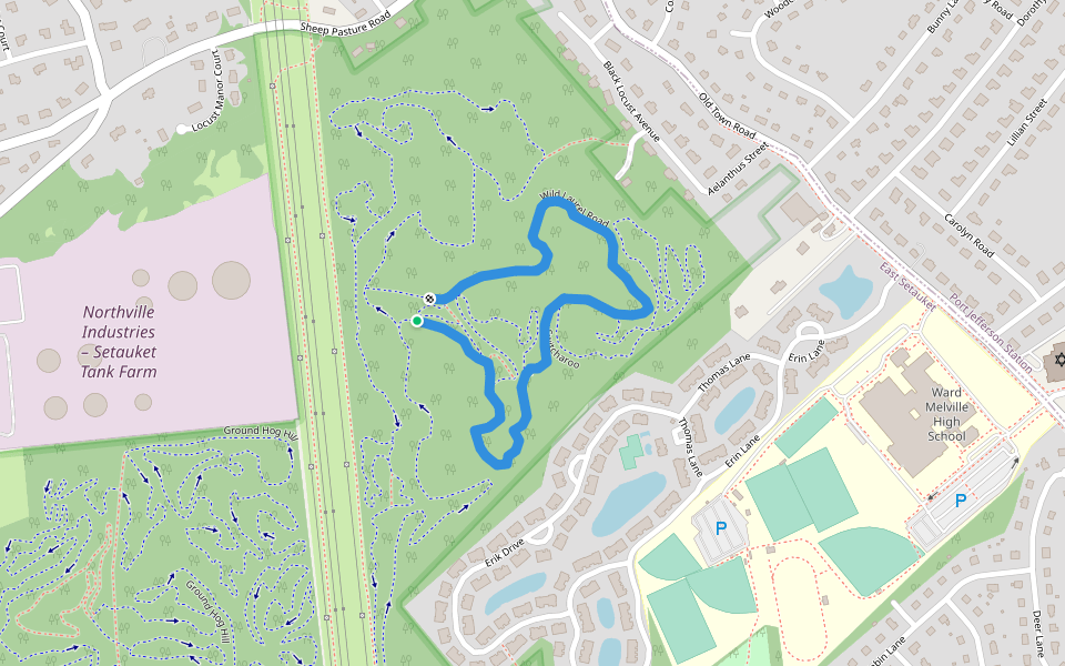 Wild Laurel Road walking route map in Setauket- East Setauket
