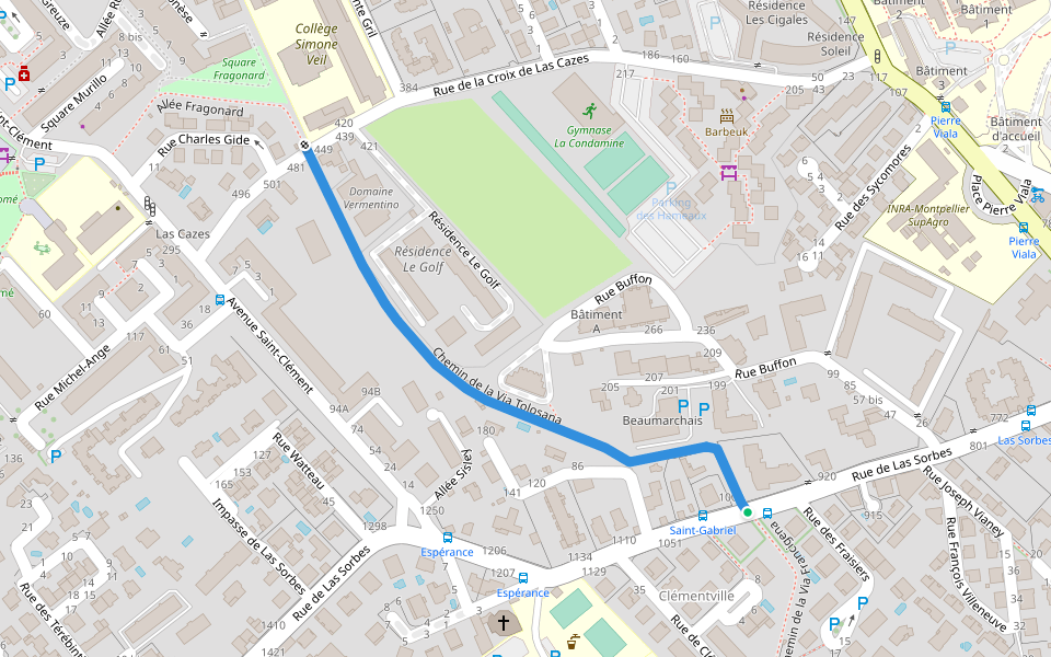 Chemin de la Via Tolosana