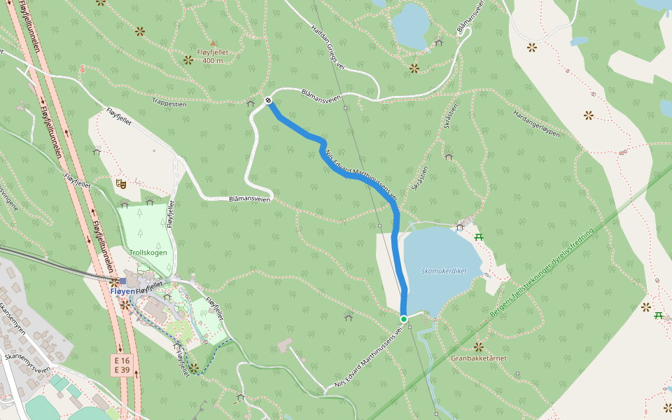 Nils Edvard Marthinussens vei