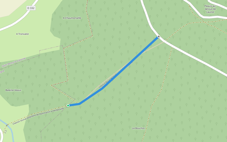 Chemin Rural de Dommartin à Herbeuville walking route map in Dommartin-la-Montagne