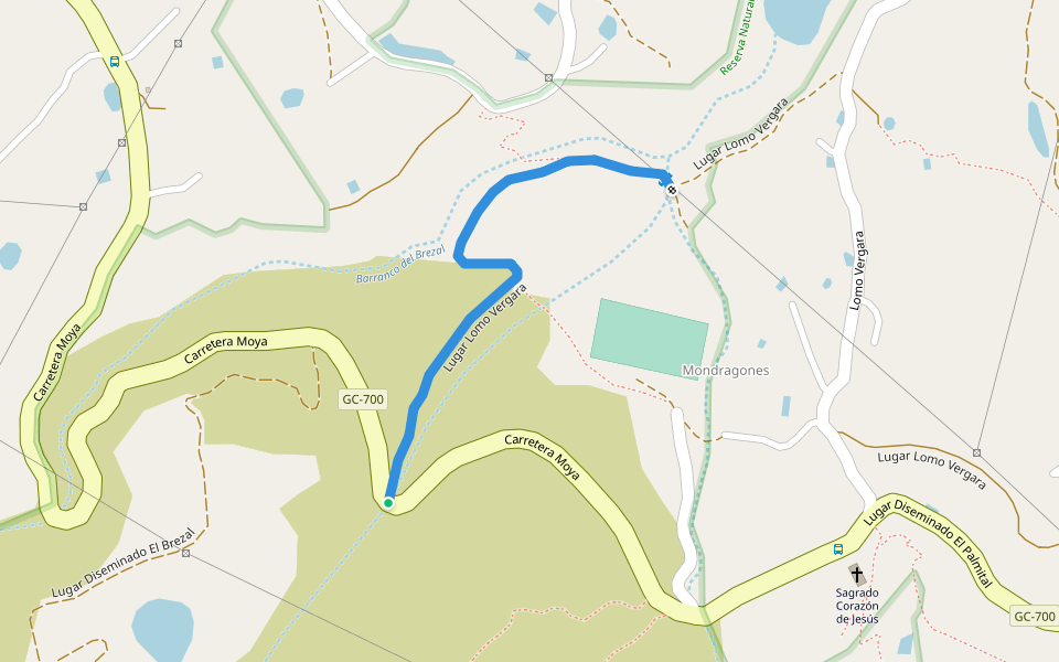 Lugar Lomo Vergara walking route map in Guía