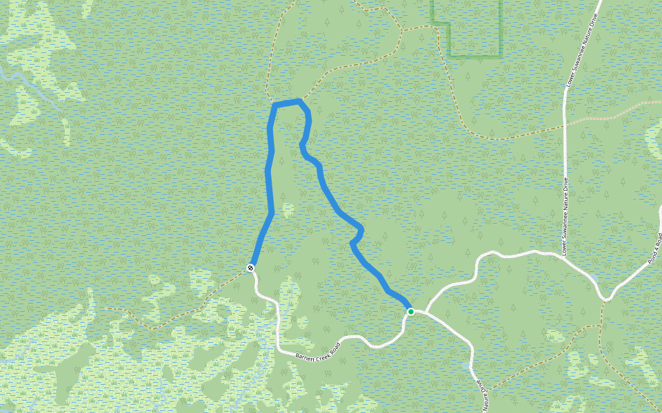 Barnett Creek Loop Trail walking route map in Suwannee