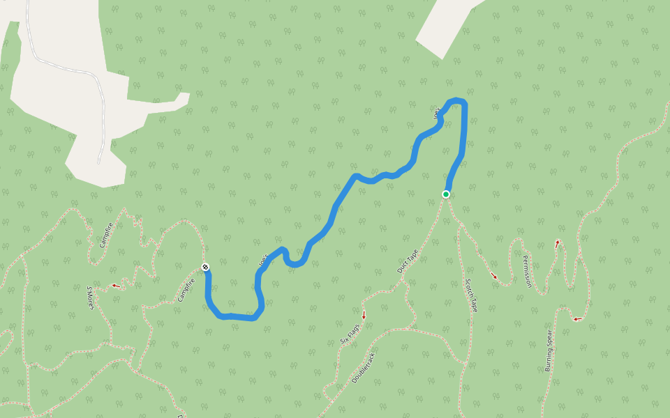 Joe's walking route map in Waterbury