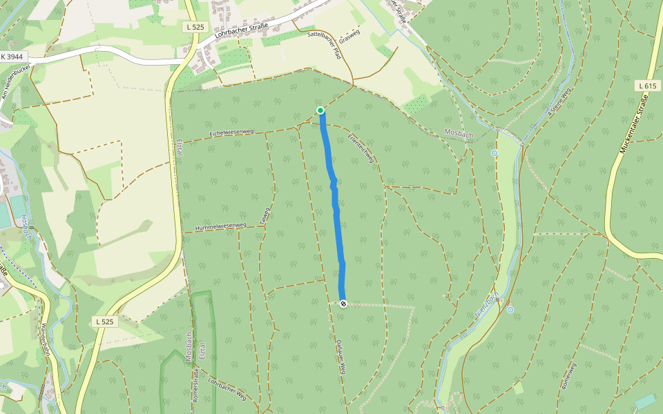 ehem. Römerstraße walking route map in Elztal