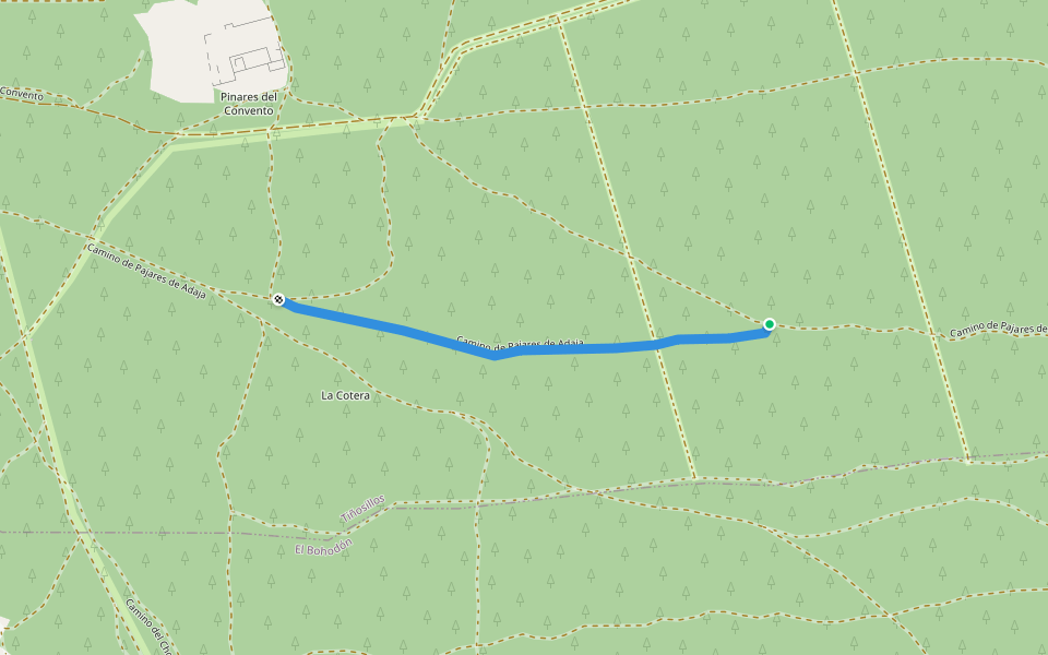 Camino de Pajares de Adaja walking route map in El Bohodón