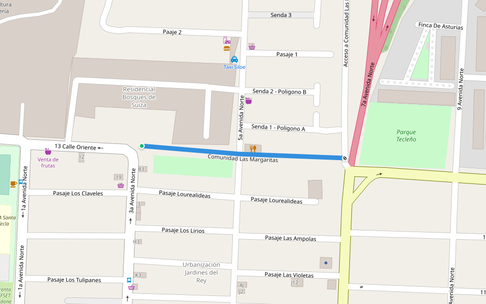 Comunidad Las Margaritas walking route map in Santa Tecla