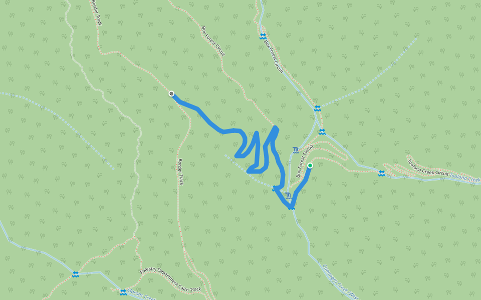 Box Forest Circuit / to Toolona Creek Circuit walking route map in O'Reilly