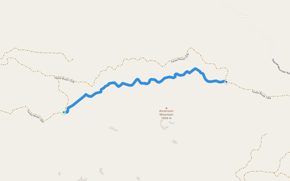 Forest Route 1S04 walking route map in Groveland