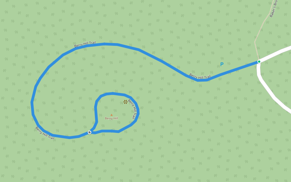 Berry Hill Trail walking route map in Norris Point