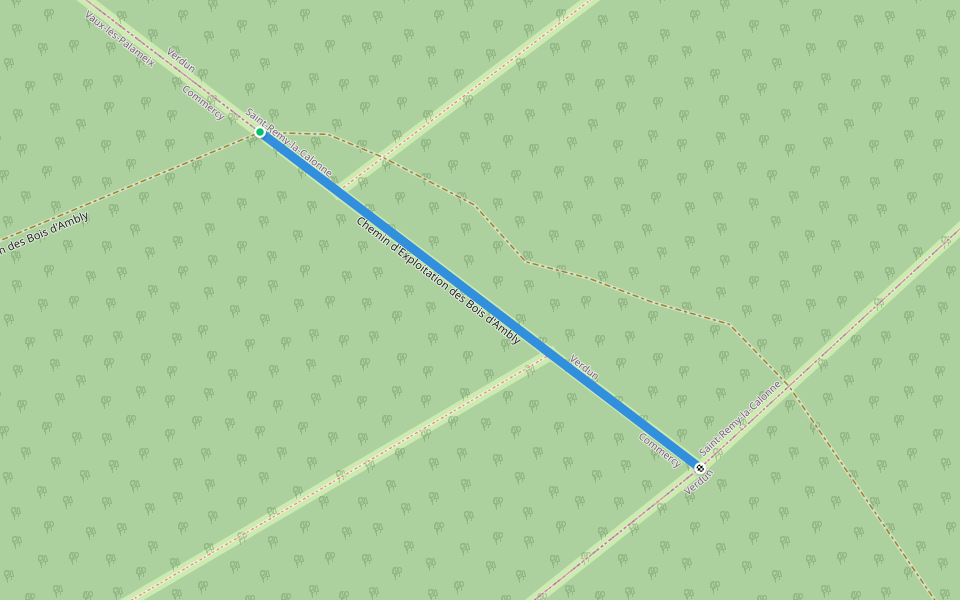 Chemin d'Exploitation des Bois d'Ambly walking route map in Dommartin-la-Montagne