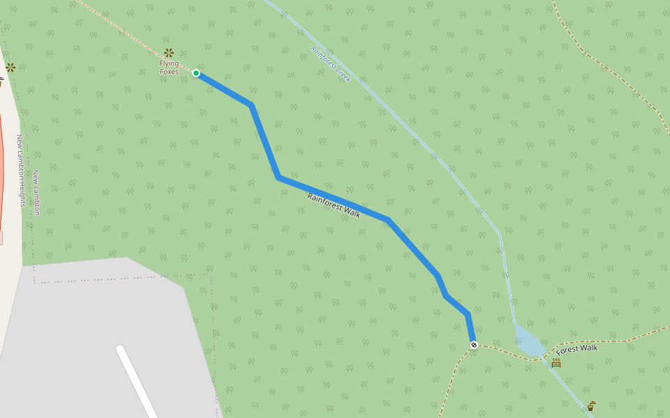Rainforest Walk walking route map in New Lambton Heights