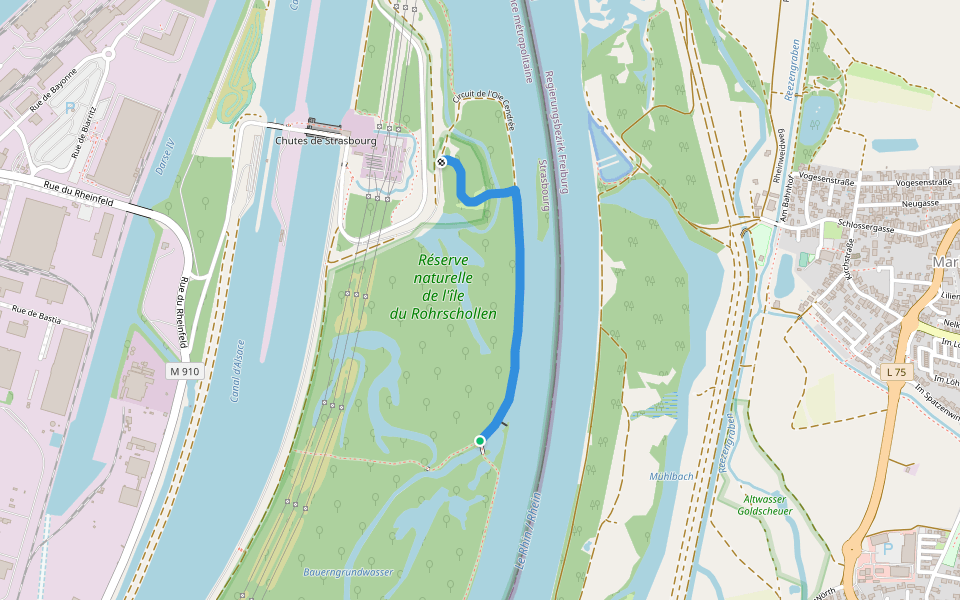 Sentier du Vieux Rhin