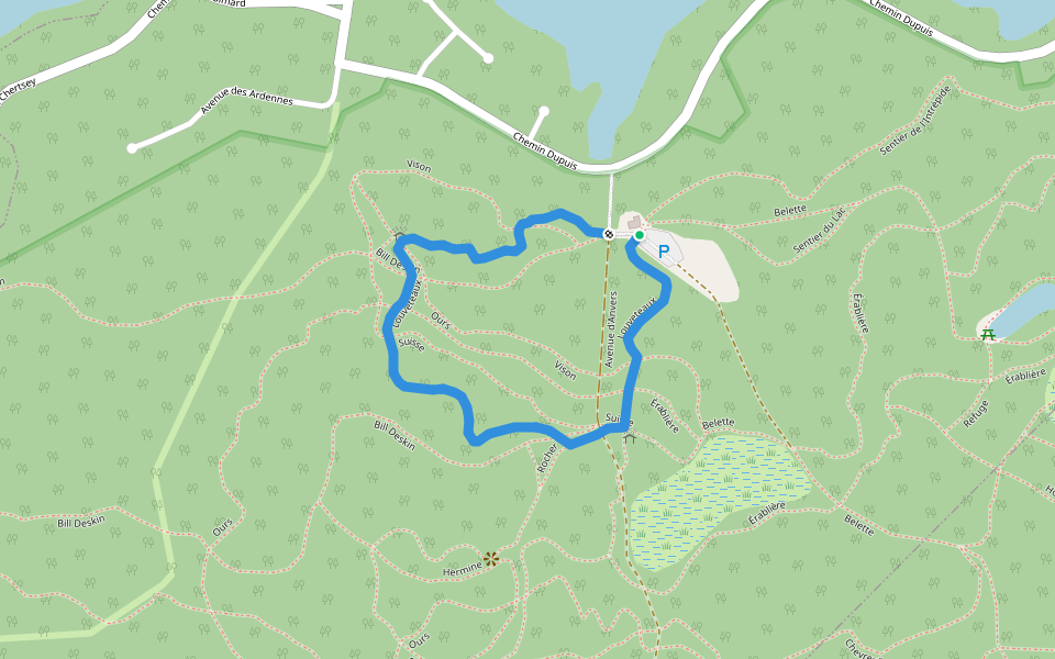 Louveteaux walking route map in Estérel