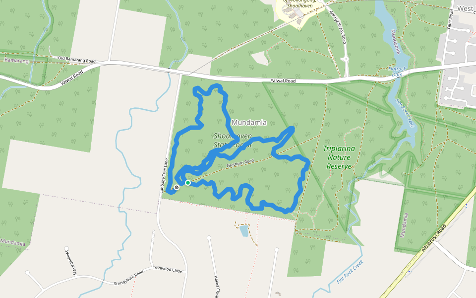 Cabbage Tree MTB trails walking route map in Mundamia