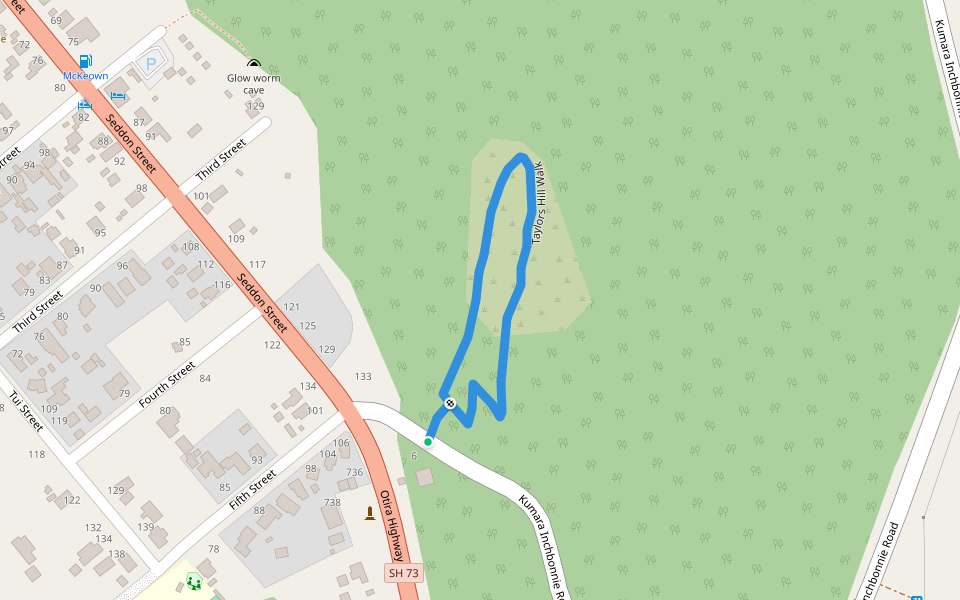 Taylors Hill Walk walking route map in Kumara