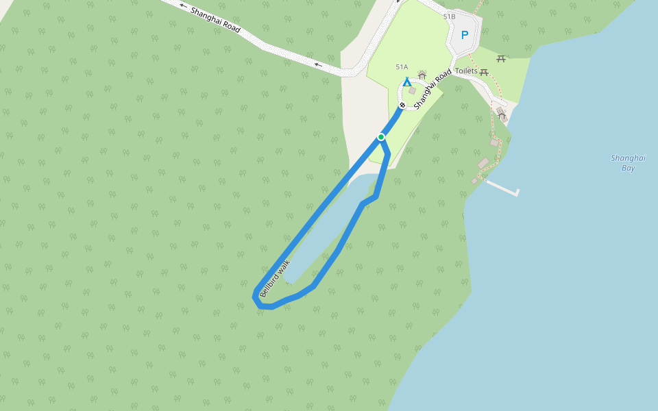 Bellbird walk walking route map in Ruatapu