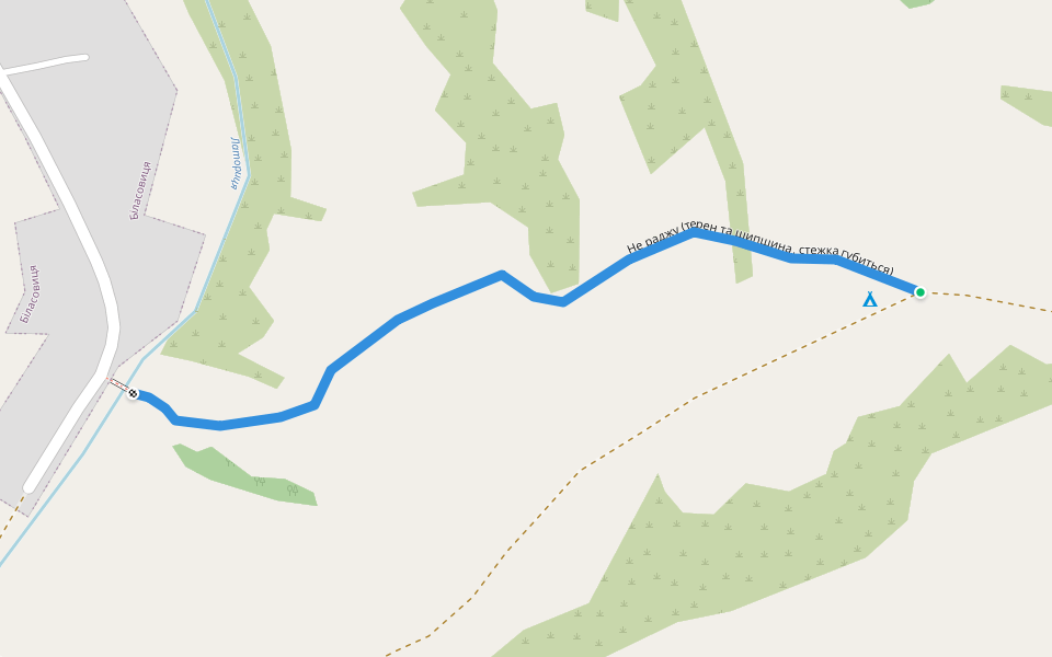 не раджу (терен та шипшина, стежка губиться) walking route map in Latorka