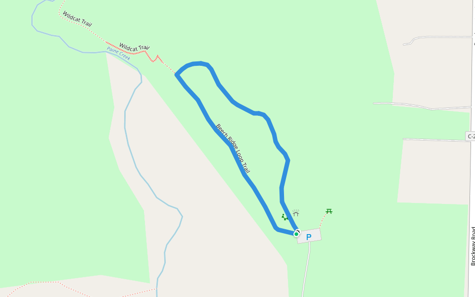 Beech Ridge Loop Trail walking route map in Thompson