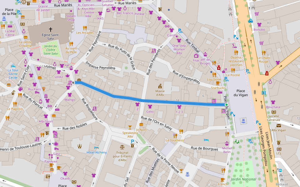 Rue de l'Hôtel de Ville walking route map in Albi