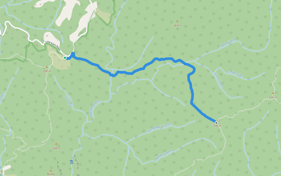 Odlin Timber Track walking route map in Karekare