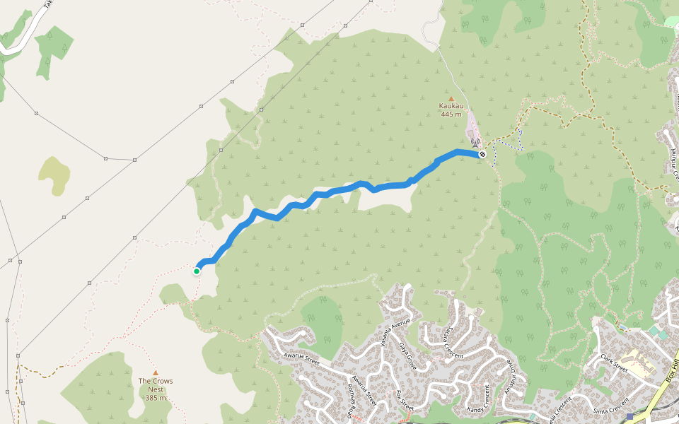 Skyline / Te Araroa Walkway