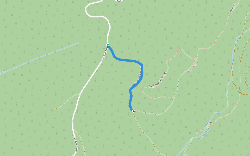 Tum Tum to Supertree walking route map in Philomath