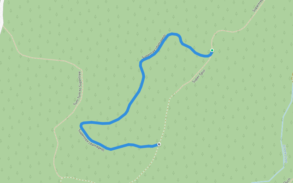 Supertree (damaged) walking route map in Philomath
