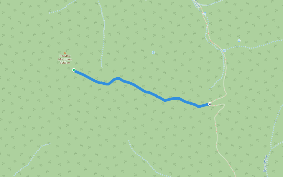 Peavine Summit Trail walking route map in Round Mountain