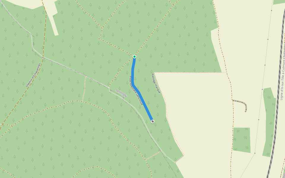 Piste forestière sans issue walking route map in Selongey