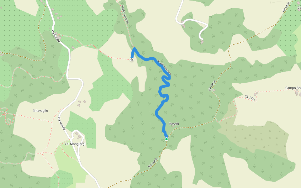 Anello del Toro walking route map in Savigno