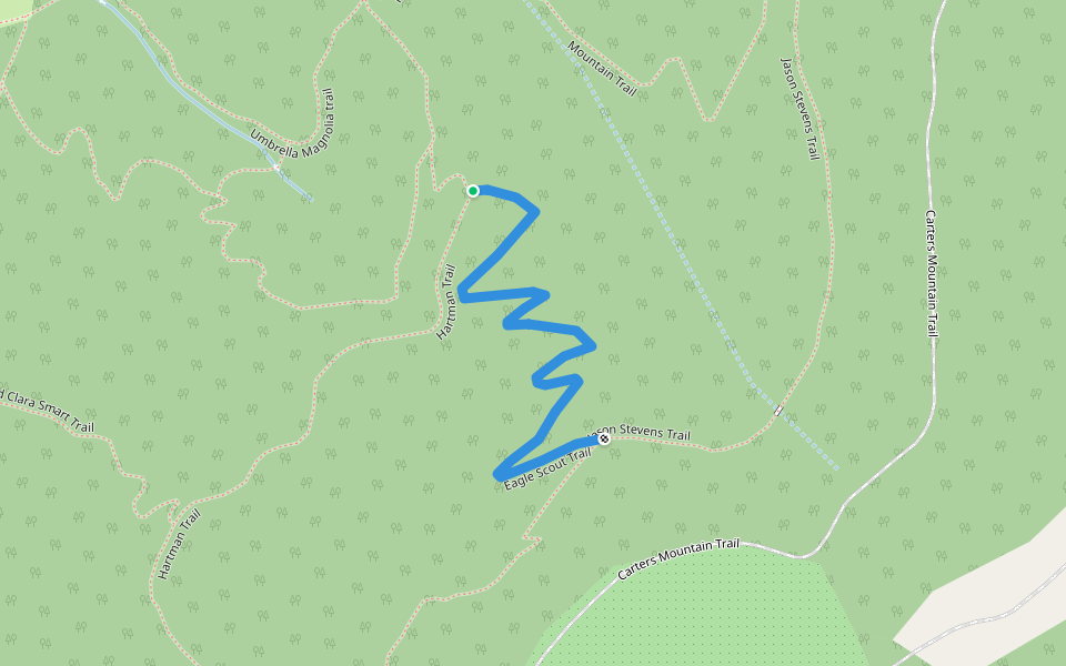 Eagle Scout Trail walking route map in Lake Monticello