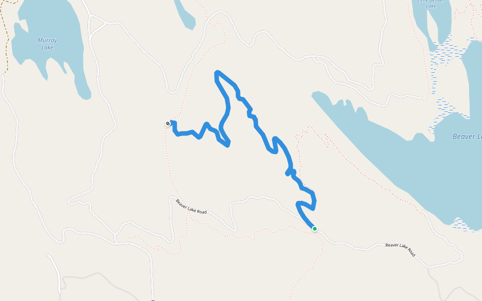 Whitefish Trail - Beaver Lake Loop