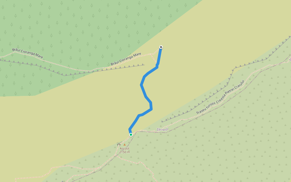 Brâul Ciorânga Mare - Ramura de Sus walking route map in Zărnești