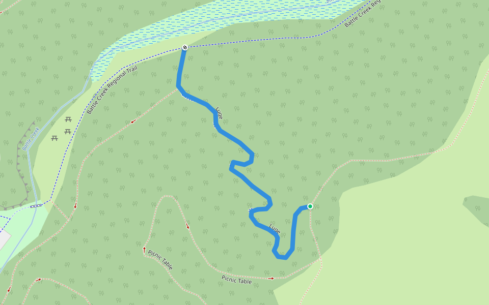 Luge