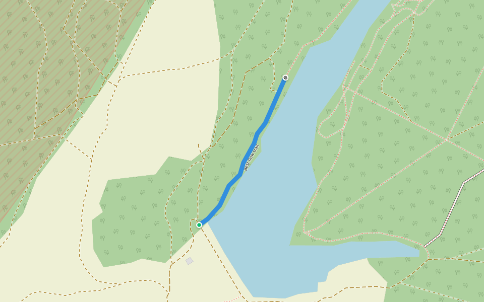 Best flow trail walking route map in Șauaieu