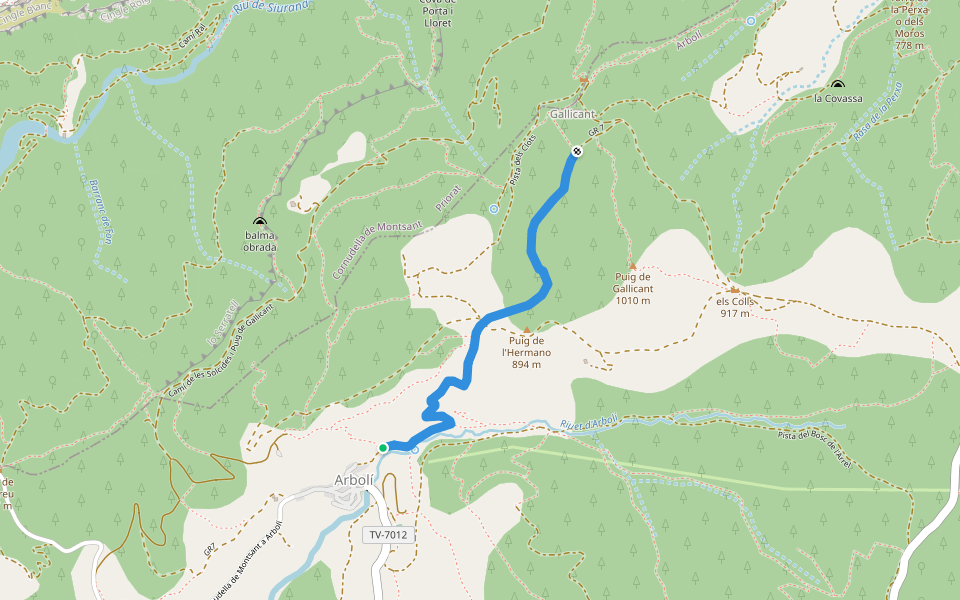 Camí vell d'Arbolí a Puig de Gallicant walking route map in Arbolí
