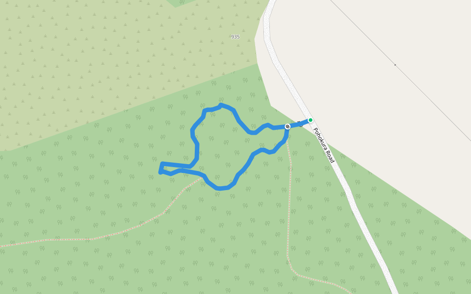 Bell Bird Bush Loop Track walking route map in Tutira