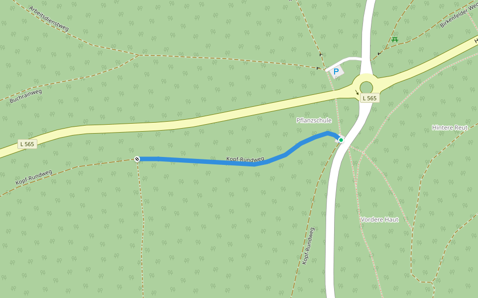 Kopf-Rundweg walking route map in Birkenfeld