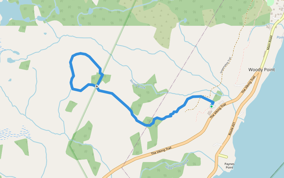 Lookout trail walking route map in Woody Point