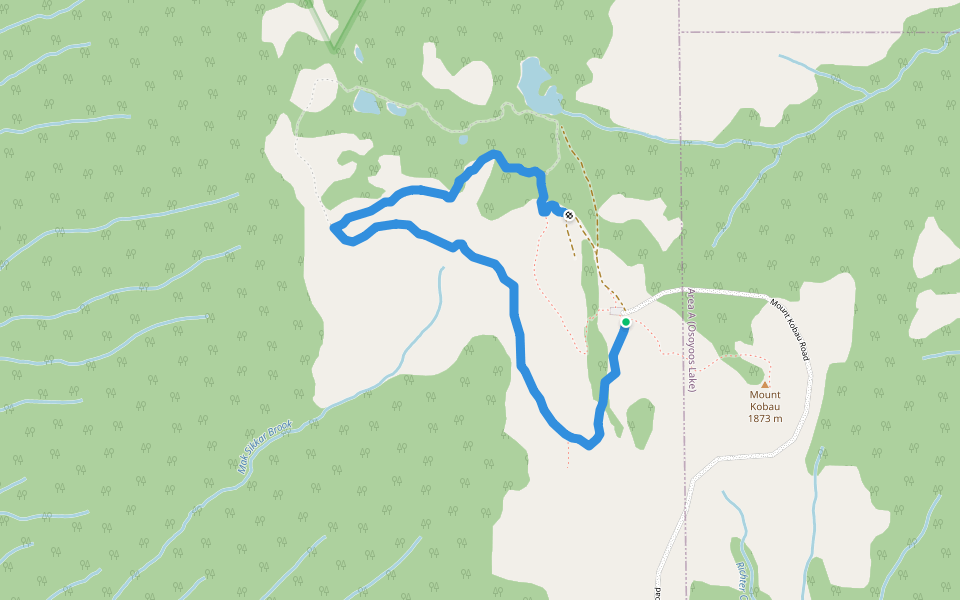 Chopaka View Lookout Trail walking route map in Cawston