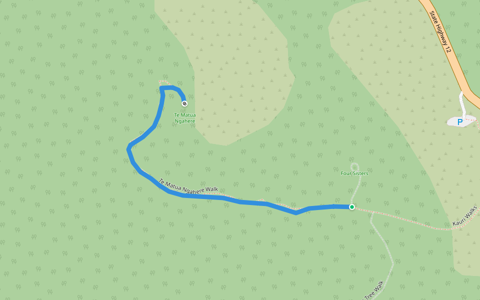 Te Matua Ngahere Walk walking route map in Waipoua Kauri Forest