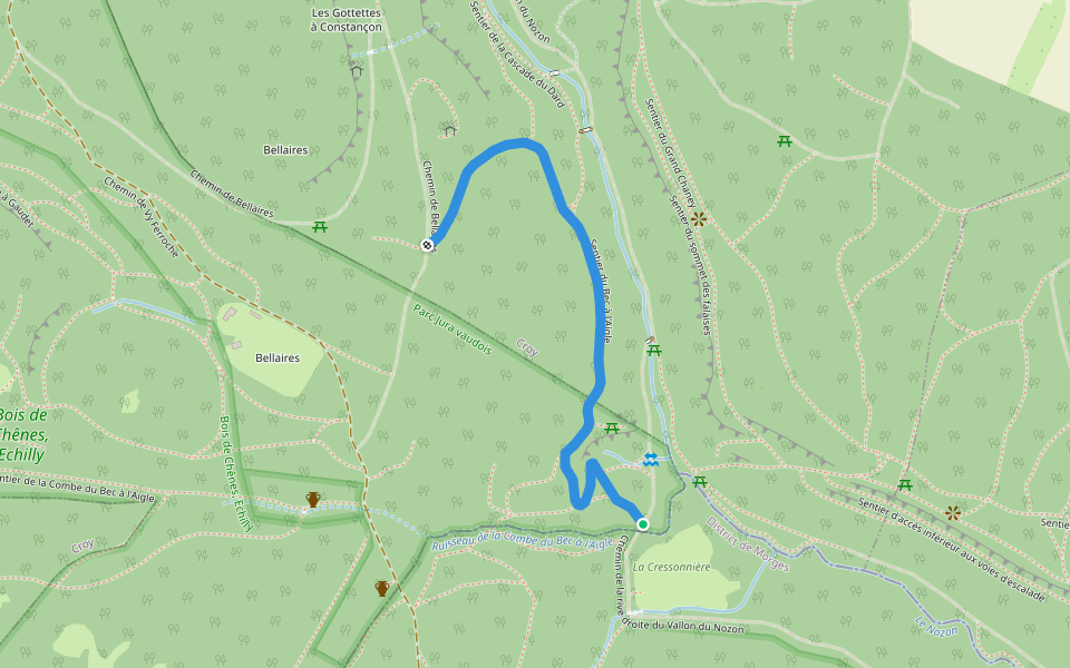Sentier du Bec à l'Aigle walking route map in Romainmôtier-Envy