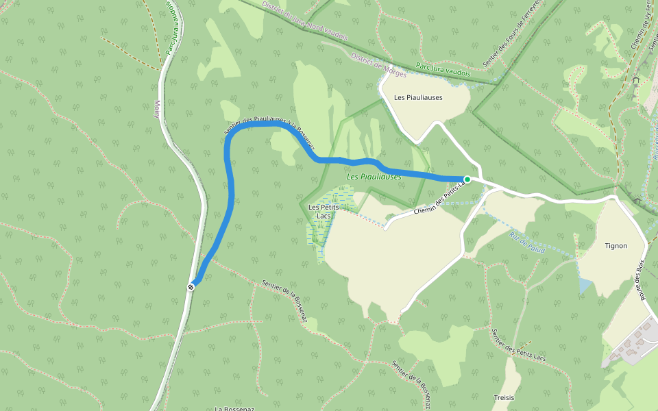 Sentier des Piauliauses à la Bossenaz walking route map in Ferreyres