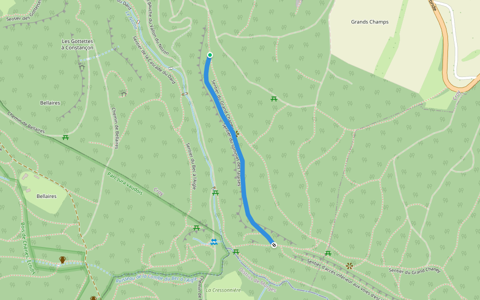 Sentier du sommet des falaises walking route map in Romainmôtier-Envy